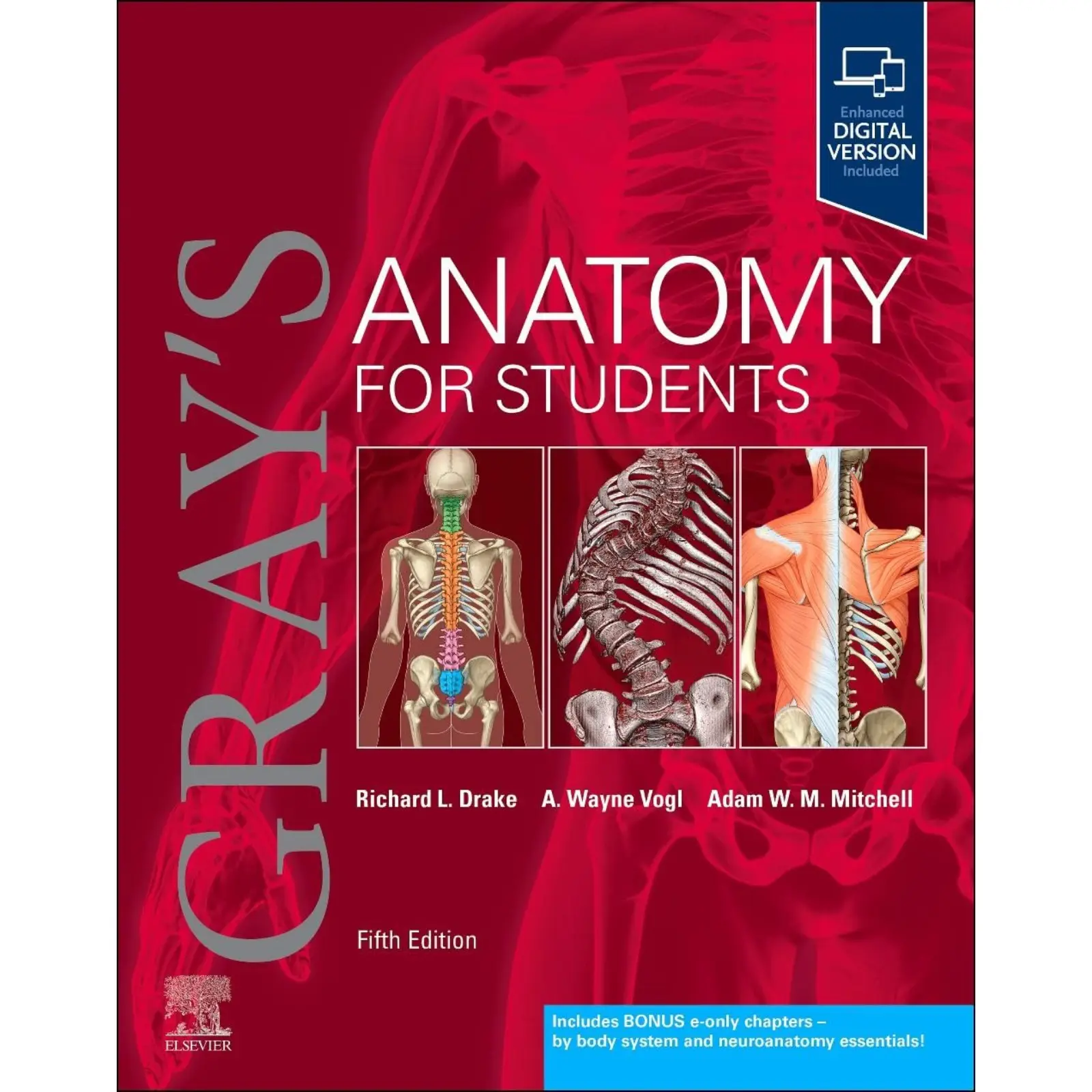 ser.webp Gray's Anatomy for Students 5th Edition - Image 1